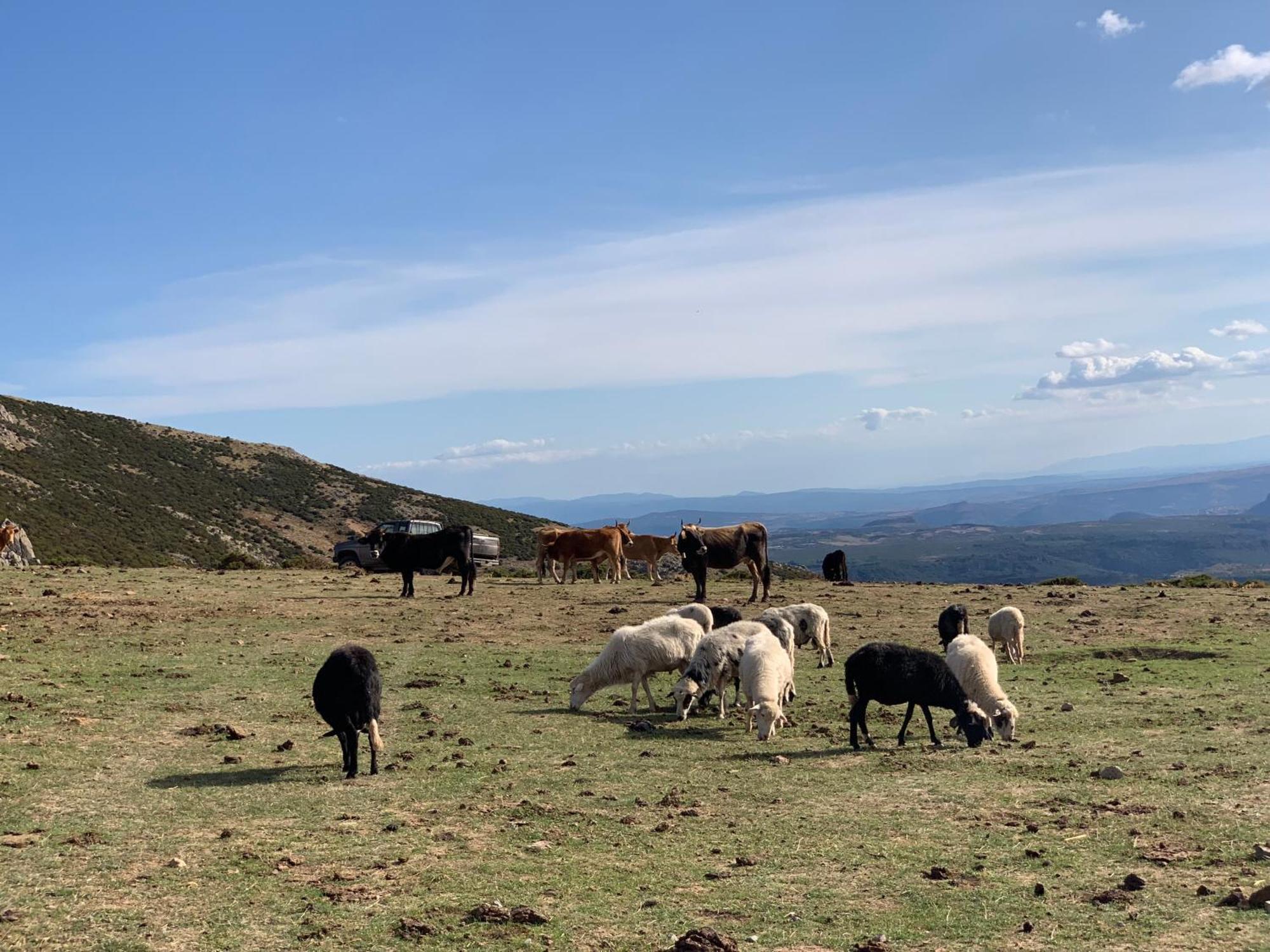 B&B Helga'S Agricampeggio Seùlo Eksteriør bilde